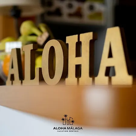 Telma-playa Gran Terraza By Alohamalaga Apartment